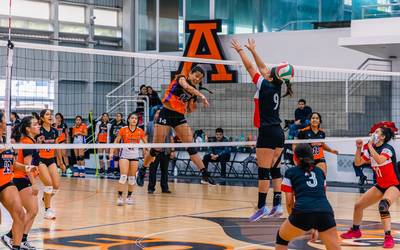 Campeonato Nacional de voleibol en Guadalajara: partidos Leones Anáhuac  femenil campus Xalapa - Diario de Xalapa | Noticias Locales, Policiacas,  sobre México, Veracruz, y el Mundo