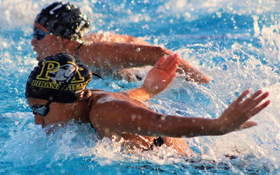 Copa Alebrije de Natación 2023: ¿cuántos nadadores participan y de qué  clubes? - Diario de Xalapa | Noticias Locales, Policiacas, sobre México,  Veracruz, y el Mundo