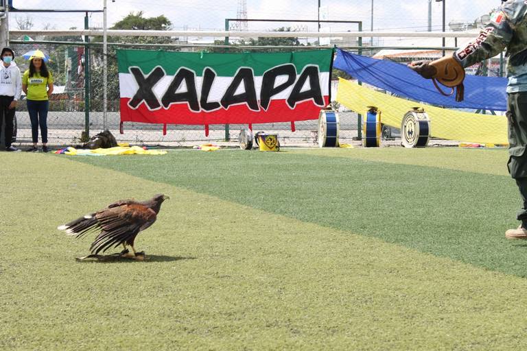 Inauguran el Nido Águila Xalapa, ¿dónde se encuentra y cuáles son sus  horarios? - Diario de Xalapa | Noticias Locales, Policiacas, sobre México,  Veracruz, y el Mundo