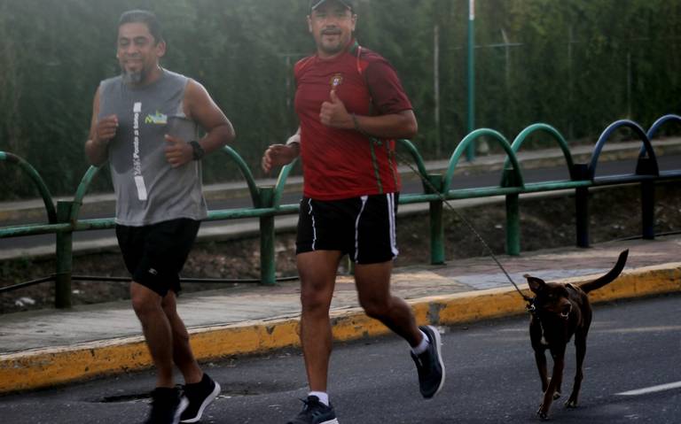 Carrera de Convivencia Familiar 6k y Caminata 3k en el Parque Natura:  fechas y resquisitos - Diario de Xalapa | Noticias Locales, Policiacas,  sobre México, Veracruz, y el Mundo