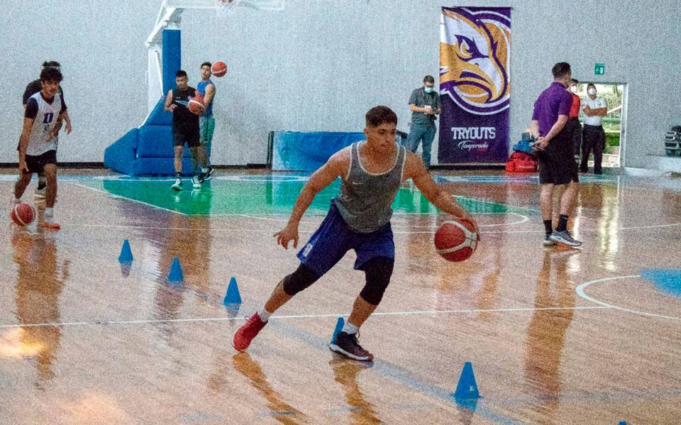 Concluyen pruebas para seleccionar a nuevos Halcones de Xalapa, jugadores  de básquetbol - Diario de Xalapa | Noticias Locales, Policiacas, sobre  México, Veracruz, y el Mundo