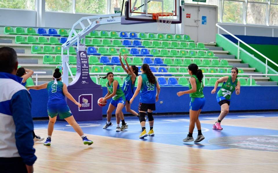 Academia Halcones UV y Chileros impartirán clínicas de basquetbol: fechas,  sedes y horarios - Diario de Xalapa | Noticias Locales, Policiacas, sobre  México, Veracruz, y el Mundo