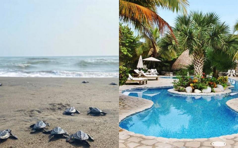 Hotel Istirinchá: El sitio ideal para vacacionar en Costa Esmeralda,  Veracruz: MAPA - Diario de Xalapa | Noticias Locales, Policiacas, sobre  México, Veracruz, y el Mundo