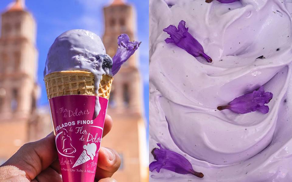 Helados de sabores exóticos: sitios para disfrutar de un rico postre en  Xalapa - Diario de Xalapa | Noticias Locales, Policiacas, sobre México,  Veracruz, y el Mundo