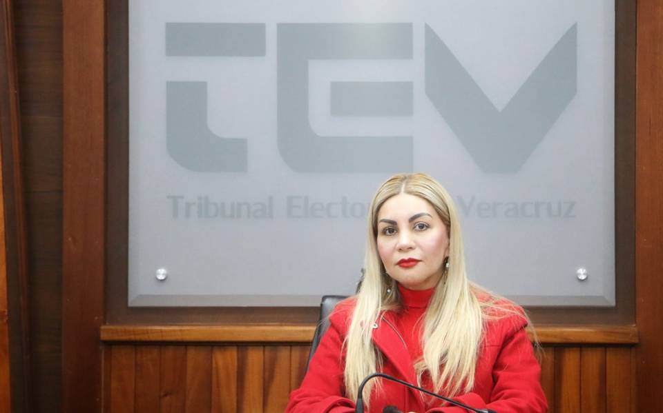 Elecciones 2024: Tribunal Electoral de Veracruz recibe más de 200 medios de impugnación – Diario de Xalapa