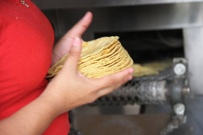 Fausto Celorio, el mexicano que inventó la máquina de tortillas que usamos  hasta el día de hoy - Infomercado México