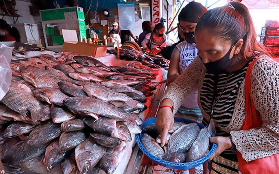 Pescados, mariscos, aceites, arroz, tortillas...vuelven a subir en febrero  - Diario de Xalapa | Noticias Locales, Policiacas, sobre México, Veracruz,  y el Mundo