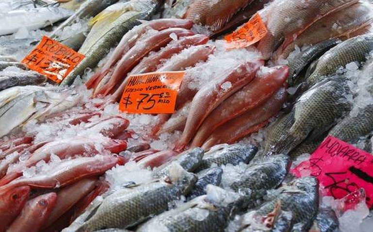 Se intoxican al comer mariscos - Diario de Xalapa | Noticias Locales,  Policiacas, sobre México, Veracruz, y el Mundo