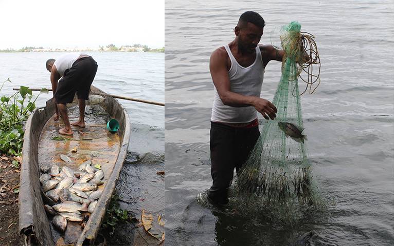 Laguna Olmeca de Veracruz: Habitantes viven de la pesca y la limpian -  Diario de Xalapa