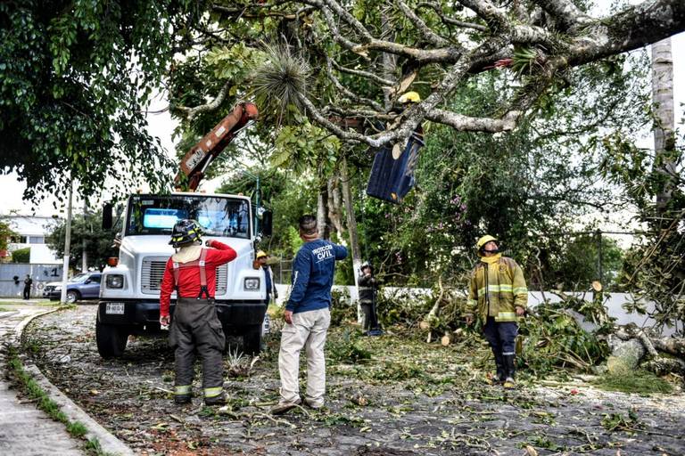 Sin electricidad en varias colonias de Boca del Río por fuerte viento