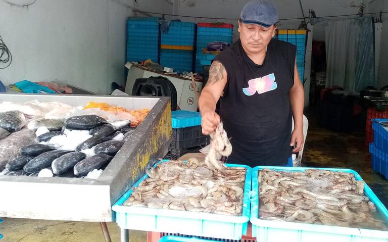 Mercado de marisco en Veracruz reporta pocas ventas en temporada de  Cuaresma - Diario de Xalapa | Noticias Locales, Policiacas, sobre México,  Veracruz, y el Mundo