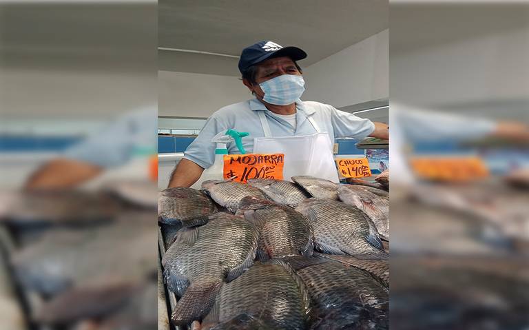 Reportan bajas ventas de mariscos en Veracruz, ¿en cuánto han caído? -  Diario de Xalapa | Noticias Locales, Policiacas, sobre México, Veracruz, y  el Mundo