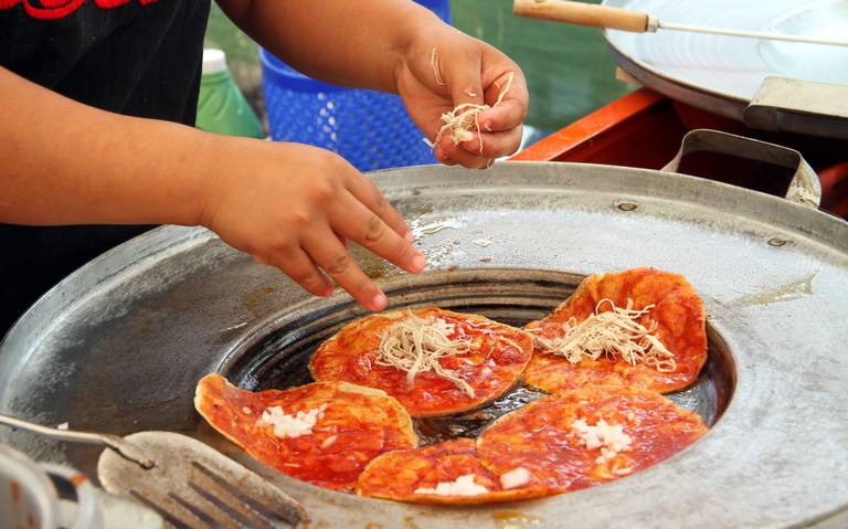 Festival de la Garnacha 2022, todo sobre el evento - Diario de Xalapa |  Noticias Locales, Policiacas, sobre México, Veracruz, y el Mundo