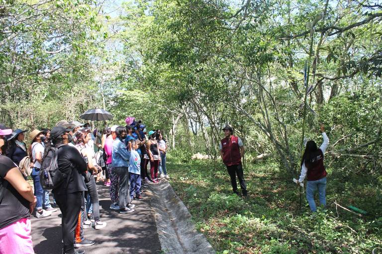 Cuándo se realiza el Mercado Natura en Xalapa?, todos los detalles - Diario  de Xalapa | Noticias Locales, Policiacas, sobre México, Veracruz, y el Mundo