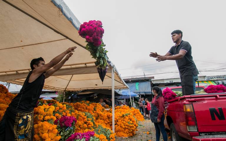 Cuánto cuesta el rollo de cempasúchil y moco de pavo en la central de  abastos de Xalapa? - Diario de Xalapa | Noticias Locales, Policiacas, sobre  México, Veracruz, y el Mundo