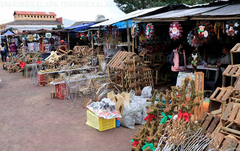 Quieres adornos navideños artesanales?, cerca de Xalapa los hay con  acículas de pino o “pinochas” - Diario de Xalapa | Noticias Locales,  Policiacas, sobre México, Veracruz, y el Mundo