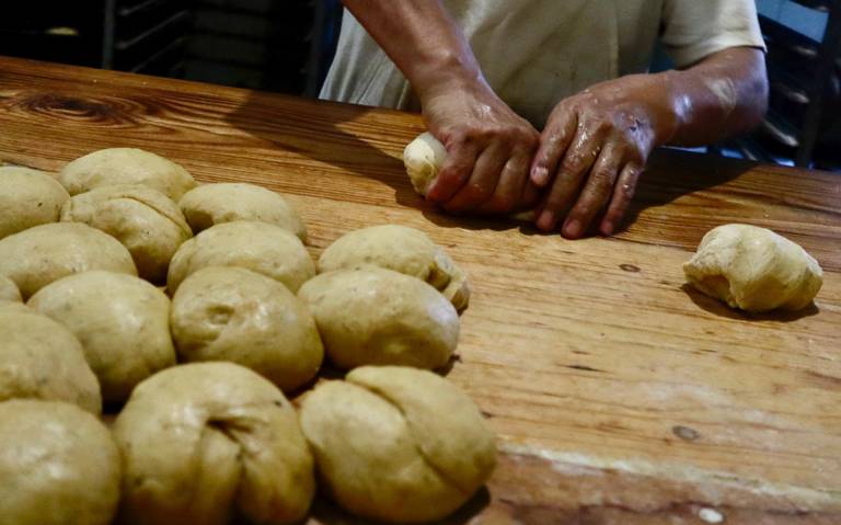 Historias de Xalapa: ¿Conoces la panadería Don Carlos? - Diario de Xalapa |  Noticias Locales, Policiacas, sobre México, Veracruz, y el Mundo