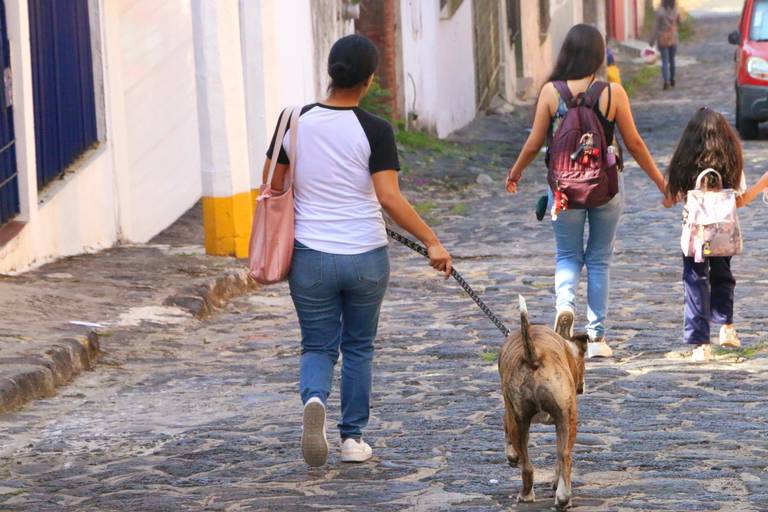 Abren Parque Canino La Pradera en Xalapa