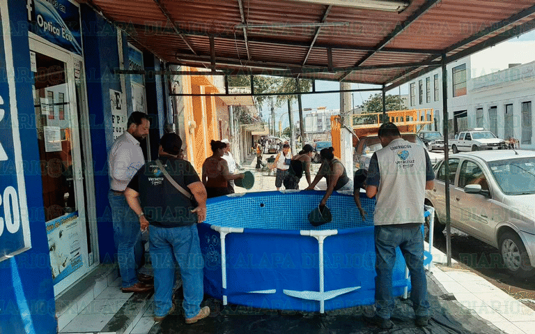 Familia porteña prepara albercada ¡en plena vía pública! agua desperdicio  Veracruz sanciones - Diario de Xalapa | Noticias Locales, Policiacas, sobre  México, Veracruz, y el Mundo