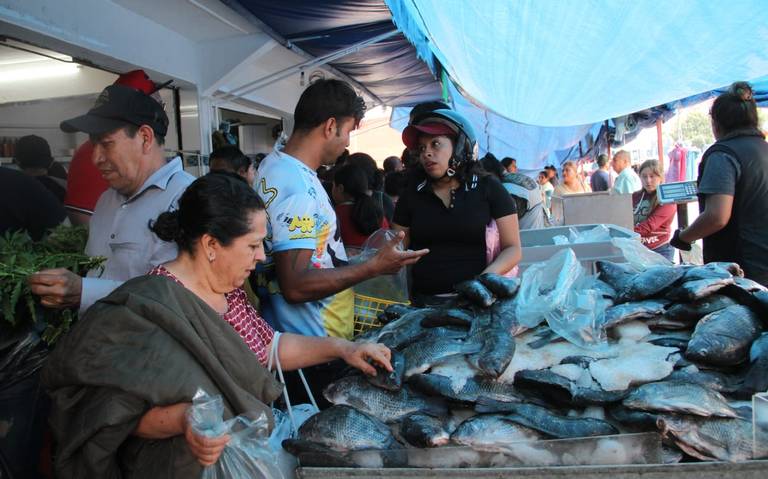 Precios de los pescados y mariscos en los negocios de la Rotonda en Xalapa  - Diario de Xalapa | Noticias Locales, Policiacas, sobre México, Veracruz,  y el Mundo