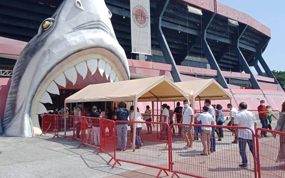 Tiburones Rojos de Veracruz: ¿por qué ya no se puede usar dicho nombre? -  Diario de Xalapa | Noticias Locales, Policiacas, sobre México, Veracruz, y  el Mundo