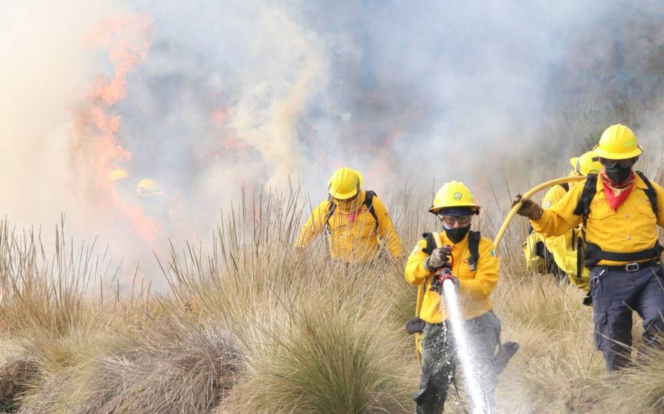 15 incendios forestales hacen arder a Veracruz; lista de lugares afectados – Diario de Xalapa