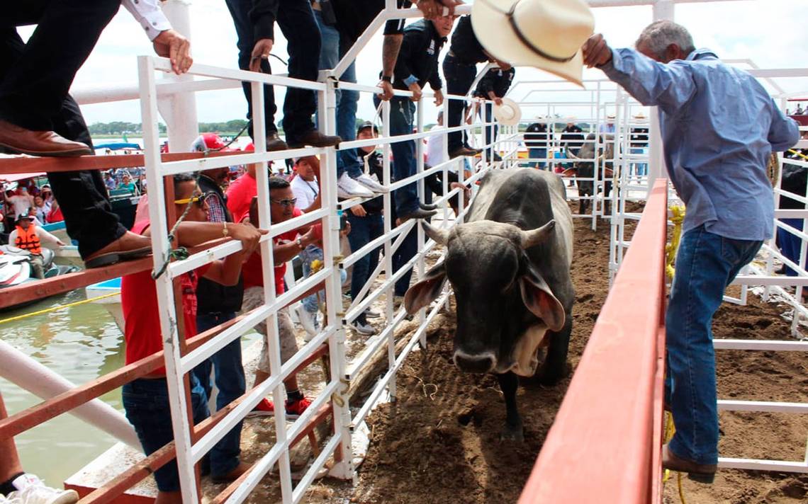 Sombrero Cowboy Veracruz Toro