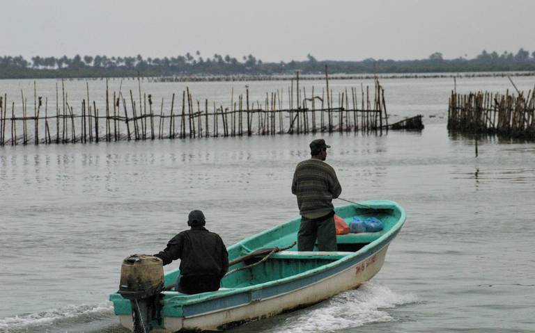 Precios de pescados y mariscos en Vega de Alatorre, Veracruz - Diario de  Xalapa | Noticias Locales, Policiacas, sobre México, Veracruz, y el Mundo