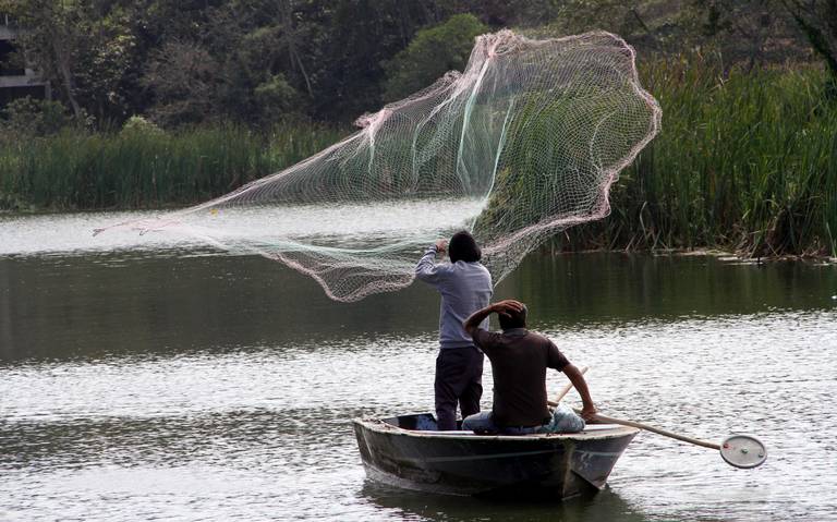 Por qué no pueden pescar los pescadores de El Castillo en su laguna? -  Diario de Xalapa