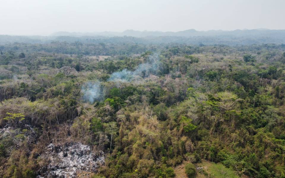 Autoridades combaten cuatro incendios relevantes en Veracruz – Diario de Xalapa